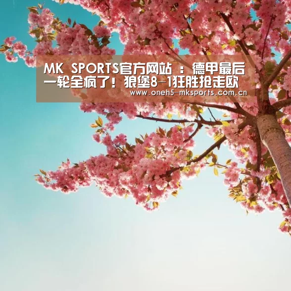  MK SPORTS官方网站 ：德甲最后一轮全疯了！狼堡8-