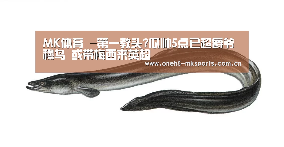 首页入口