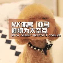  MK SPORTS官方网站 