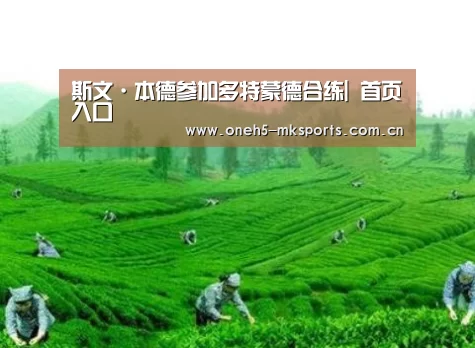 斯文·本德参加多特蒙德合练| 首页入口(图3) MK体育