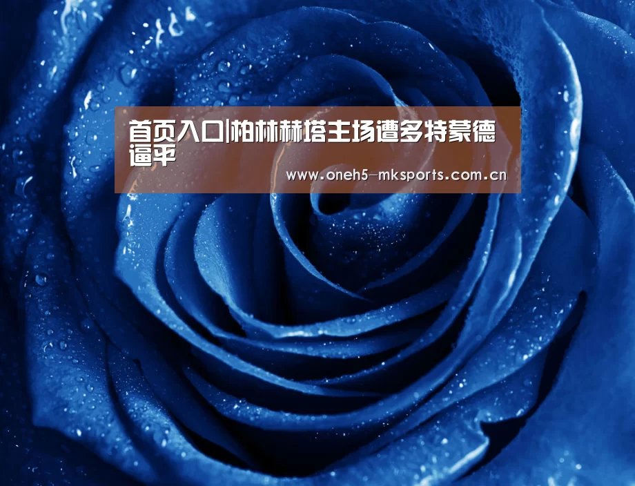  首页入口