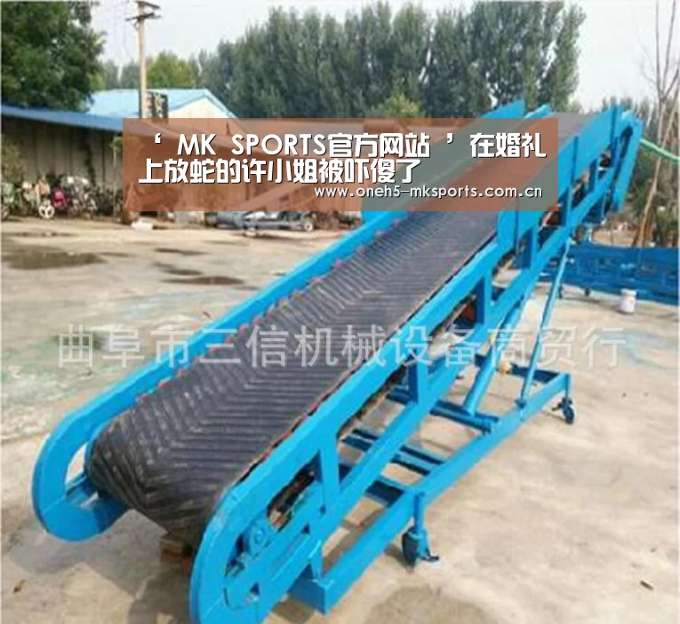 ‘ MK SPORTS官方网站 ’在婚礼上放蛇的许小姐被吓傻了